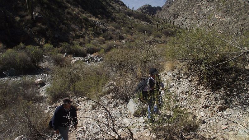 Andersch presente en el inicio del período lectivo en Los Saltos