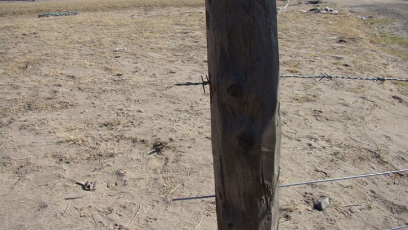 Roban alambrados y señales en la Circunvalación