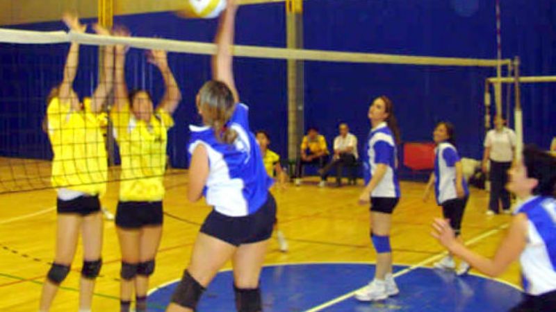 Sigue el vóleibol federado