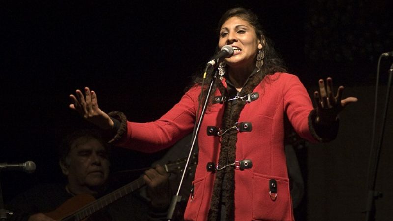 Carnaval, copla y vidala en la noche Mutquín y Saujil