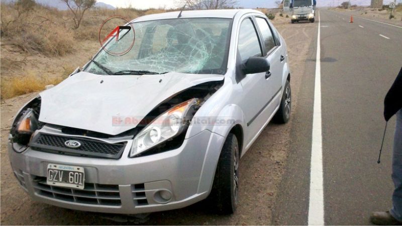 Una docente chocó con un burro al ingreso de Fiambalá