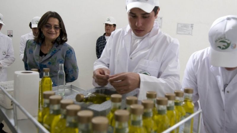 Obras y anuncios de Lucía en los festejos de Pomán