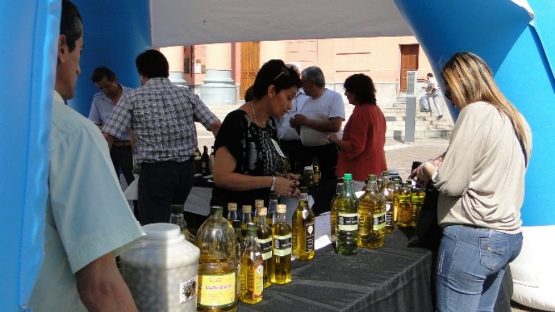 Venta de aceite y aceituna