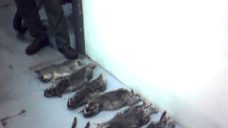 Detienen a un cazador furtivo en El Rodeo