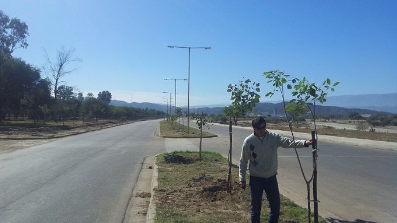 Forestación en la Capital: Se entregaron más de 300 árboles