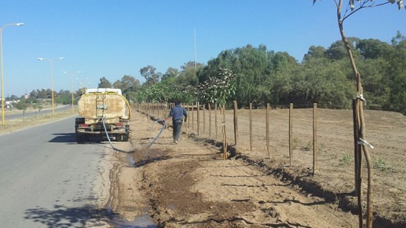 Forestación en la Capital: Se entregaron más de 300 árboles