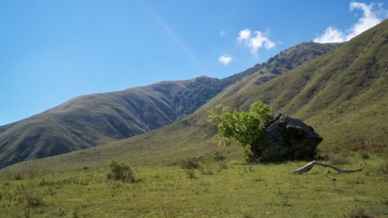 La salamanca de Humaya