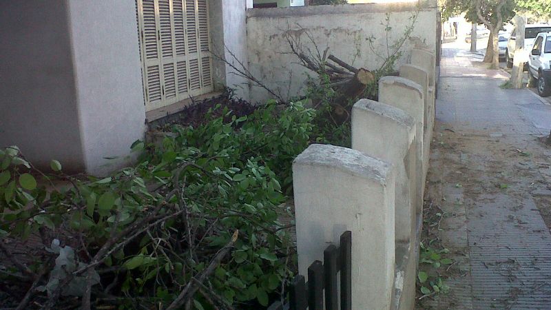 Voladura de carteles publicitarios y caída de árboles a raíz del viento