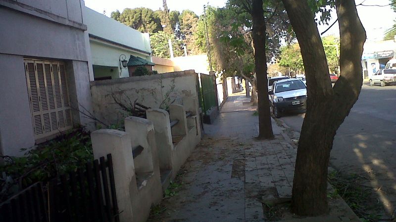 Voladura de carteles publicitarios y caída de árboles a raíz del viento