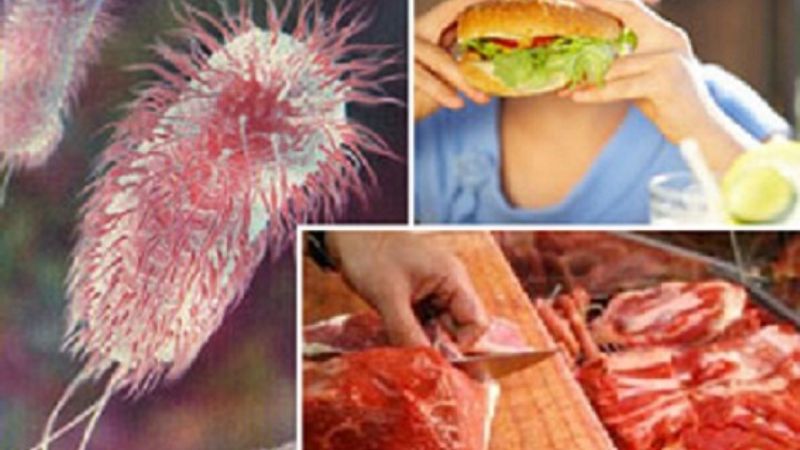 Medidas de prevención del Síndrome Urémico Hemolítico 