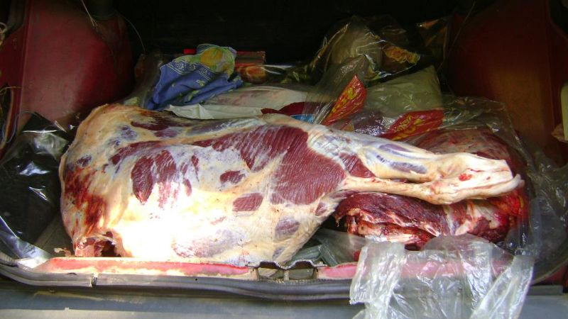 Secuestran carne vacuna y tres motos en Nueva Coneta