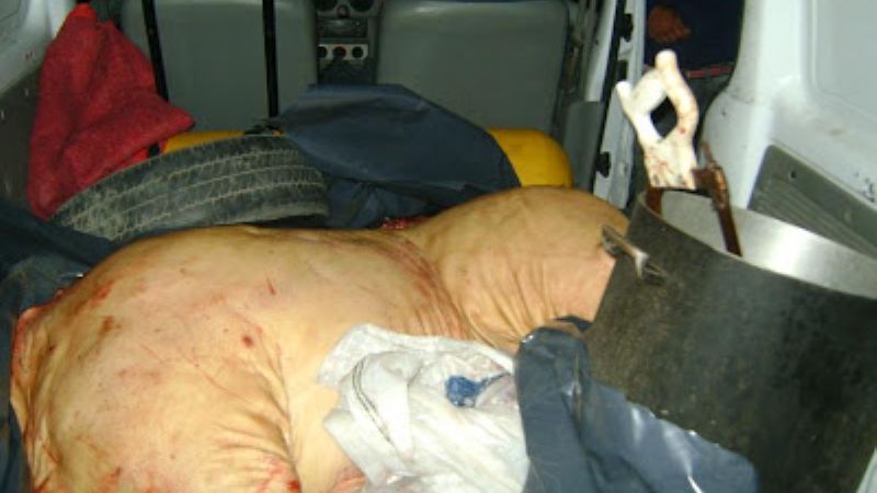 Secuestran porcino faenado sin resguardos sanitarios