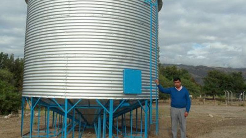 Entregarán maíz forrajero a pequeños productores ganaderos