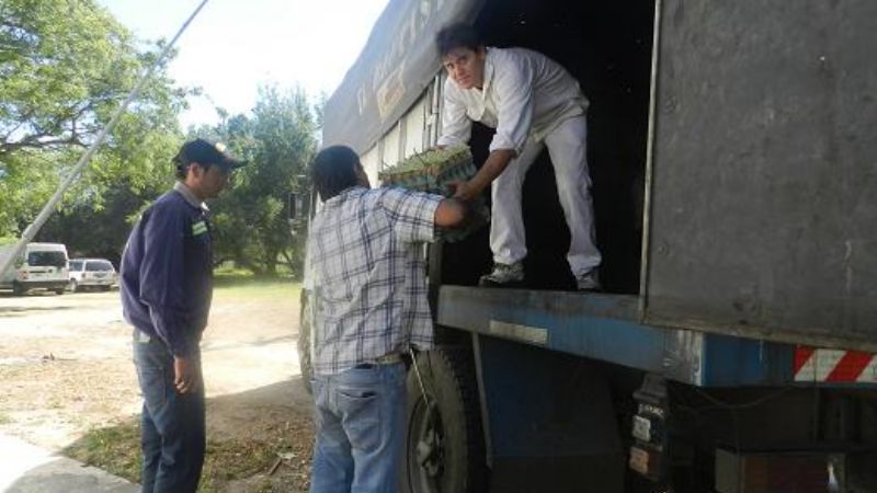 Se secuestraron casi 7000 docenas de huevos