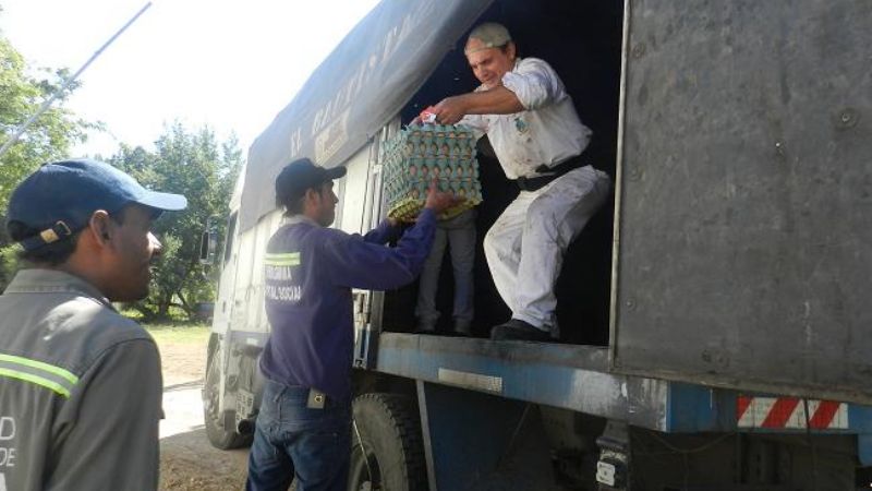 Se secuestraron casi 7000 docenas de huevos