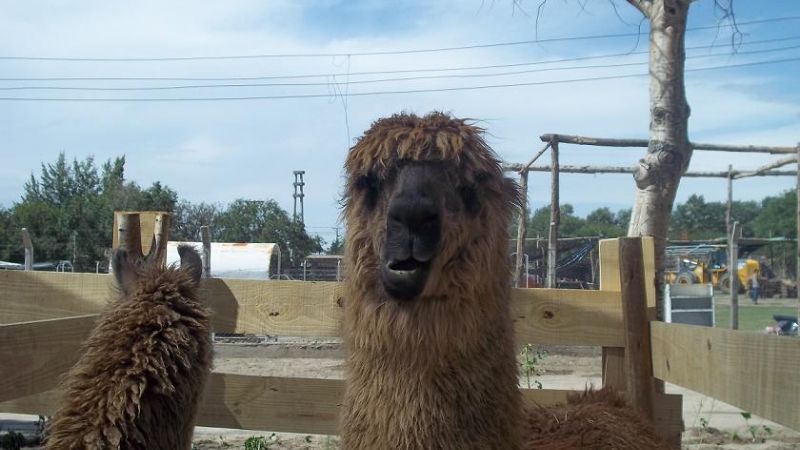 San José es historia, arqueología, paz, naturaleza y aventura