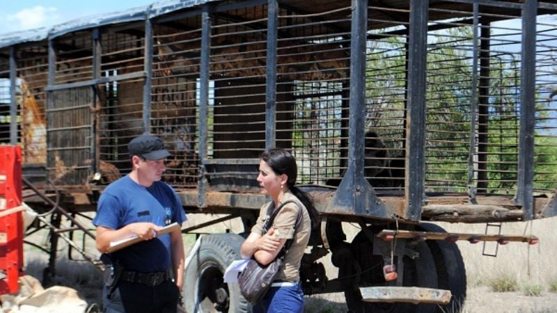 Secuestran a los animales y clausuran circo en V. Viejo