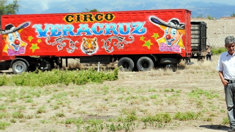 Secuestran a los animales y clausuran circo en V. Viejo