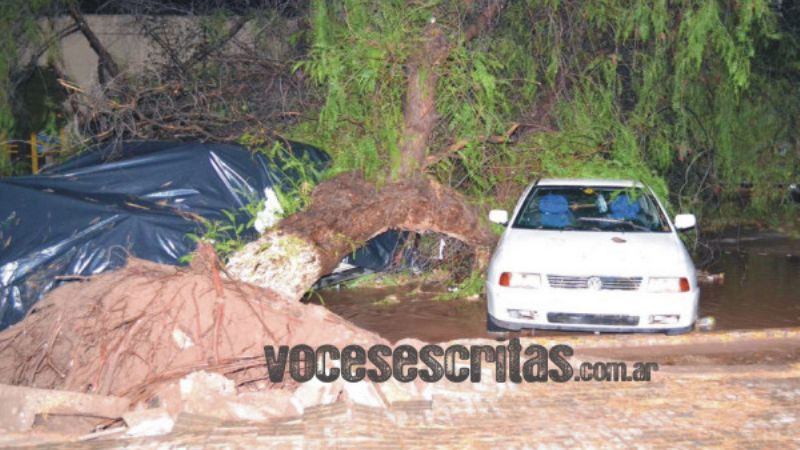 El temporal causó estragos en Tinogasta