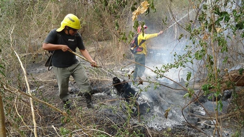 Incendio en el predio de los Ingenieros