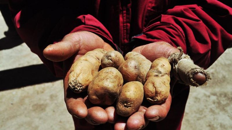 Presentación del libro “Inventario de Sabores”
