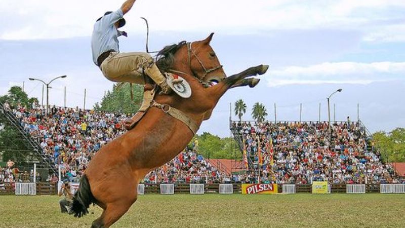 Festival de doma y folclore con clasificación para el Jesús María 2014