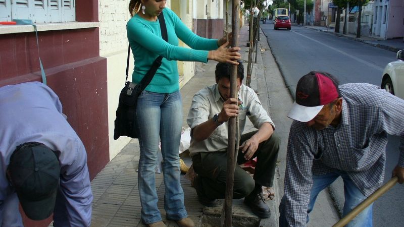Continúa el Programa “Yo Adopto un Árbol” 