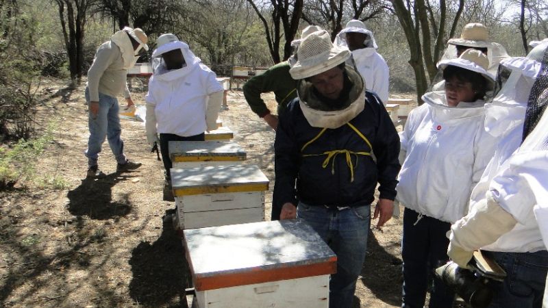 Organizan el curso sobre  “Multiplicación Apícola”