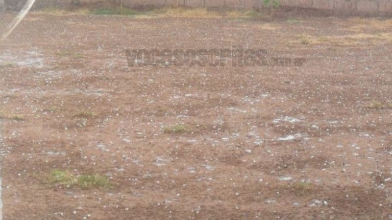 Granizó en Tinogasta
