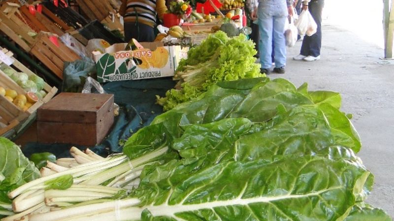 Recomiendan reemplazar el tomate y el pimiento por otras verduras