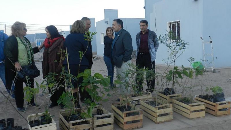 Entregaron plantas a vecinos de la zona norte