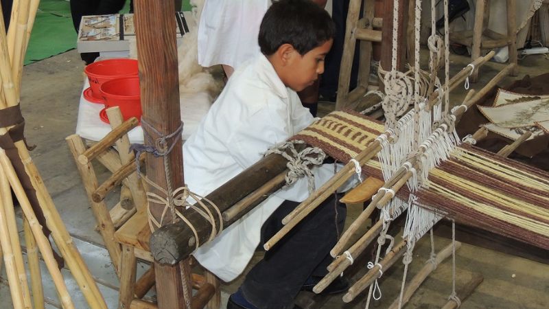 Inició la Expo Ambiente