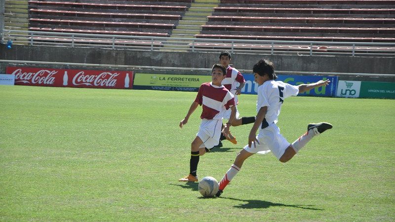 Exitosos Interescolares Provinciales