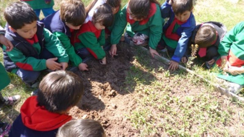 Alumnos hicieron visita didáctica al vivero