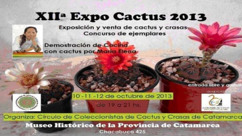 Se viene la XII Expo Cactus 2013 