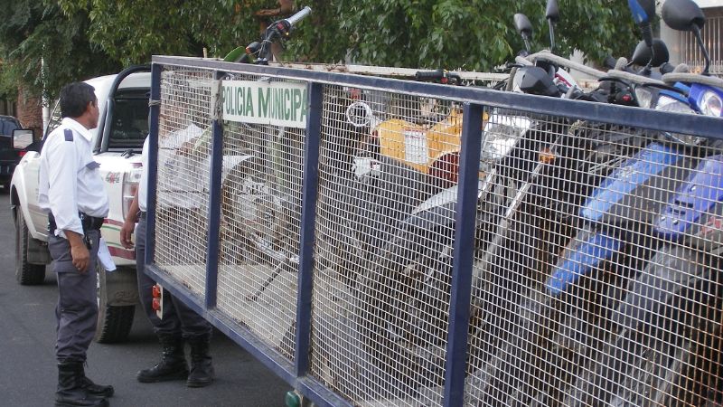 En casi tres horas, secuestran 66 motos por infracciones