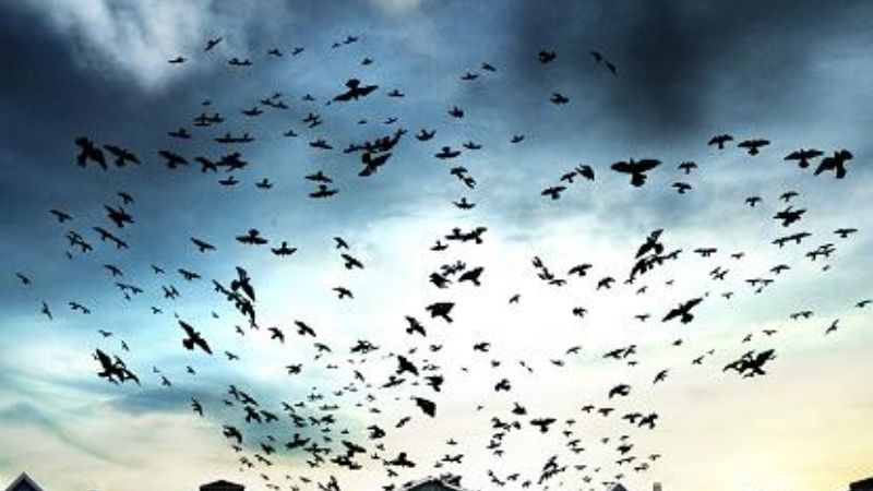 Terror, drama y aventura; las propuestas de Cinemacenter