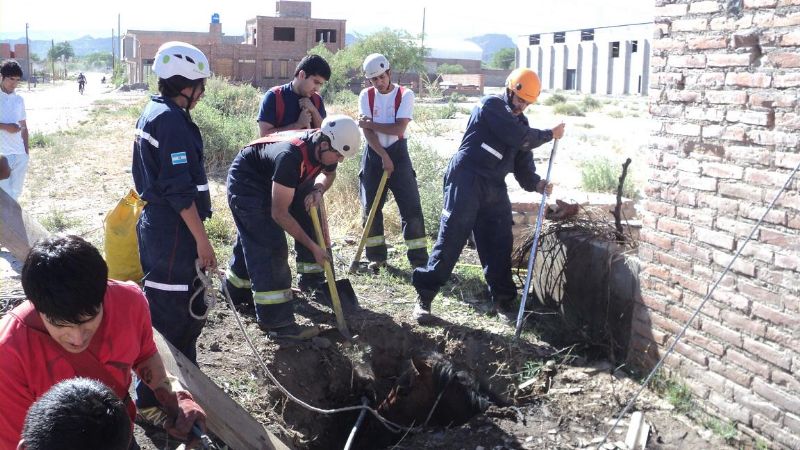 Los bomberos sacaron un caballo que cayó a un pozo de agua