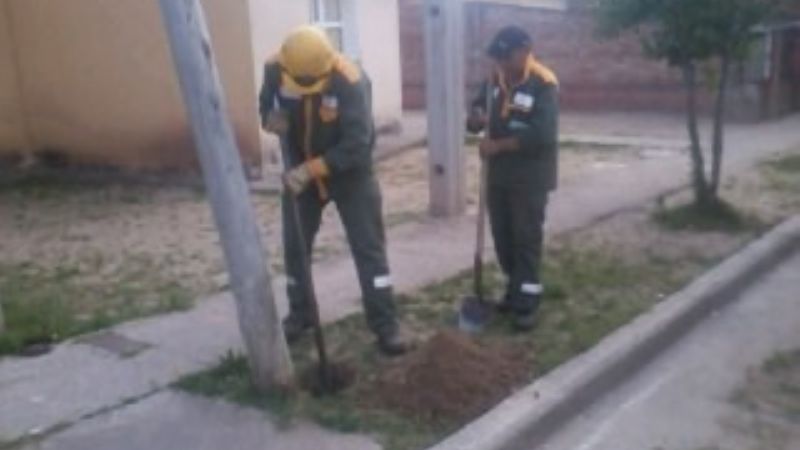 El viento causó estragos en El Alto