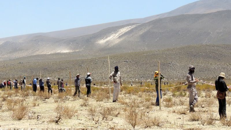 Exitoso “Chaku" comunitario 2013” en Laguna Blanca