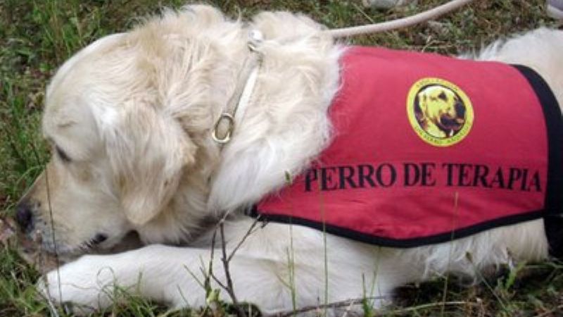 Primeras Jornadas sobre Terapia Asistida con Perros