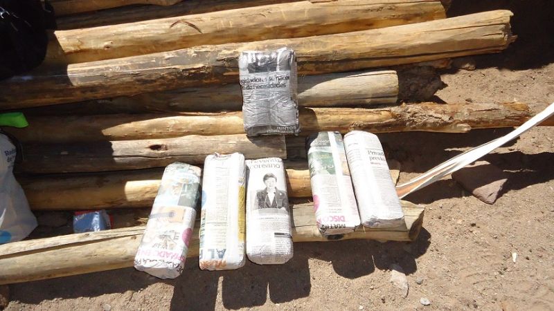 Tres bolivianos detenidos con fibra y cueros de vicuña