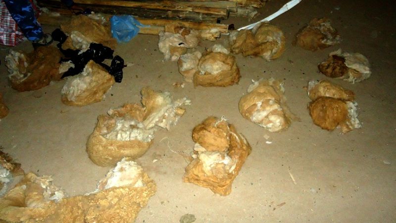 Tres bolivianos detenidos con fibra y cueros de vicuña