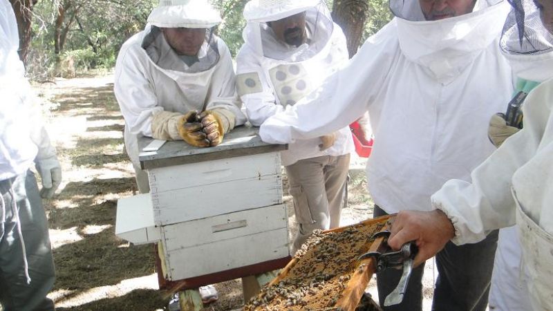 Finalizó capacitación apícola