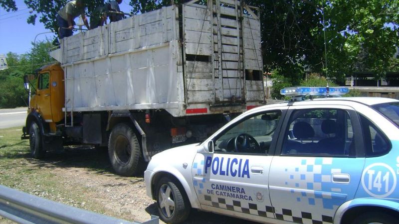 La Policía Caminera secuestró animales vacunos