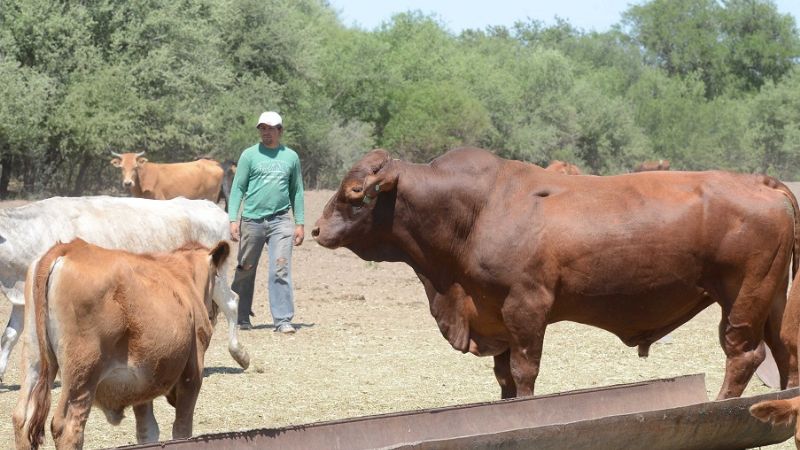 Los productores respaldaron el Programa Ganadero Provincial