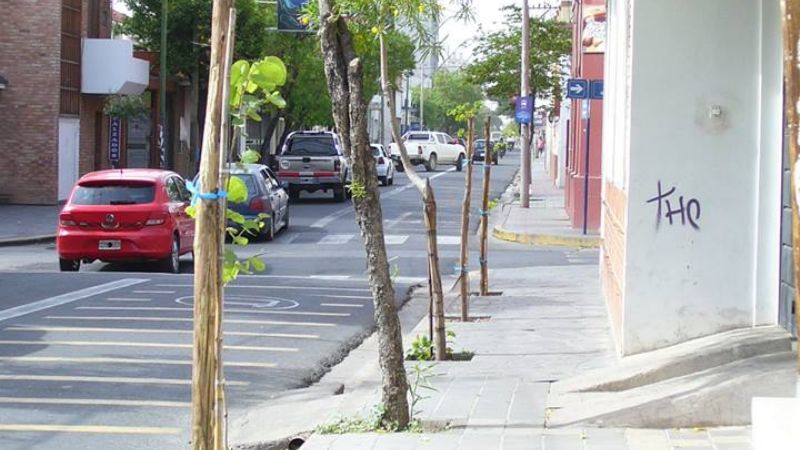 La Municipalidad continúa con la forestación en el casco céntrico 