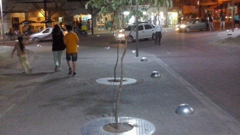 La Municipalidad continúa con la forestación en el casco céntrico 