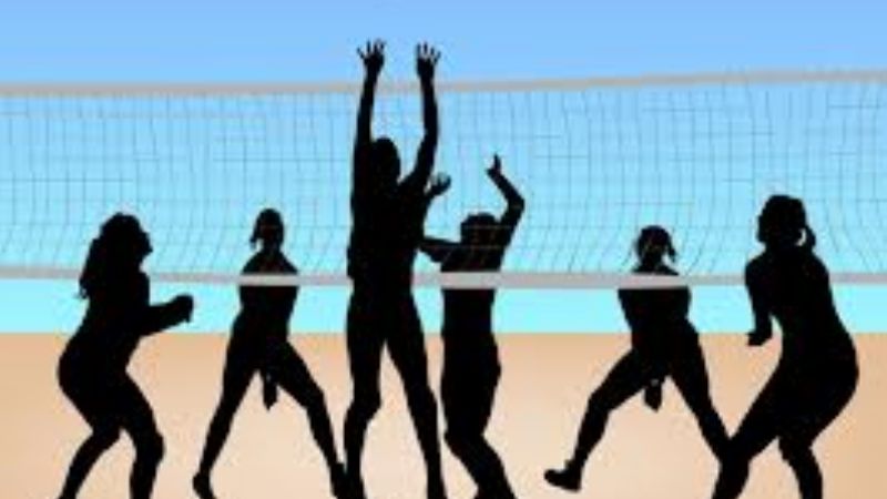 Asamblea para renovar autoridades en el Vóleibol
