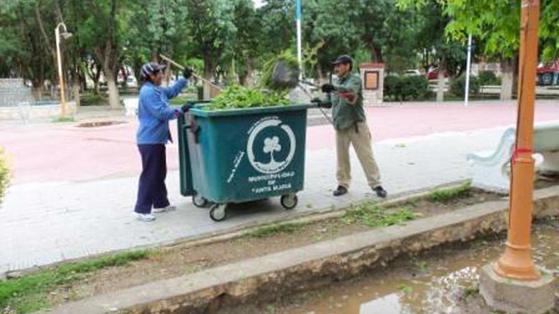 El granizo dejó varias ramas caídas